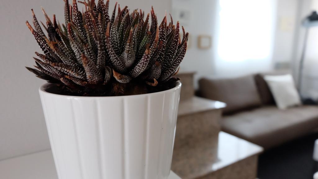 فيلا Ebli House سان ميجيل دي ساليناس الغرفة الصورة