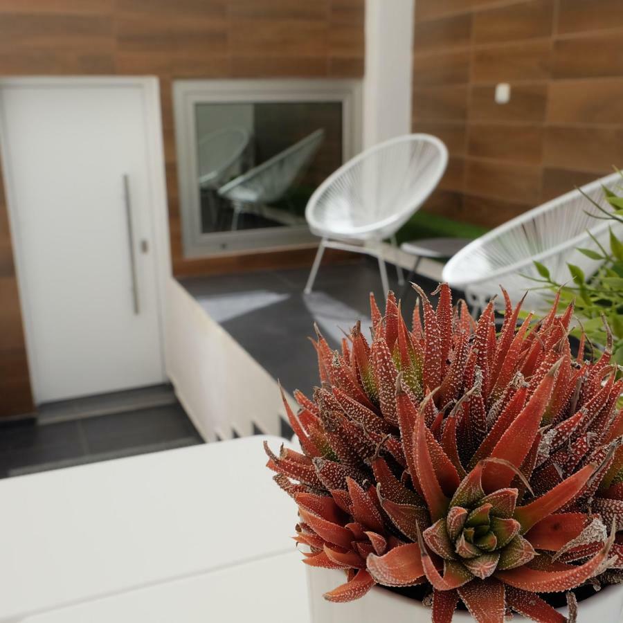 فيلا Ebli House سان ميجيل دي ساليناس المظهر الخارجي الصورة